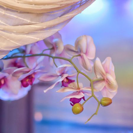 Dream & Relax Villa Fiore บารี ภายนอก รูปภาพ