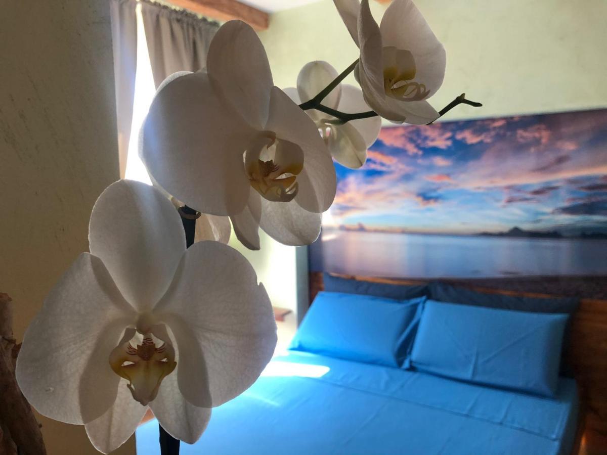 Dream & Relax Villa Fiore บารี ภายนอก รูปภาพ