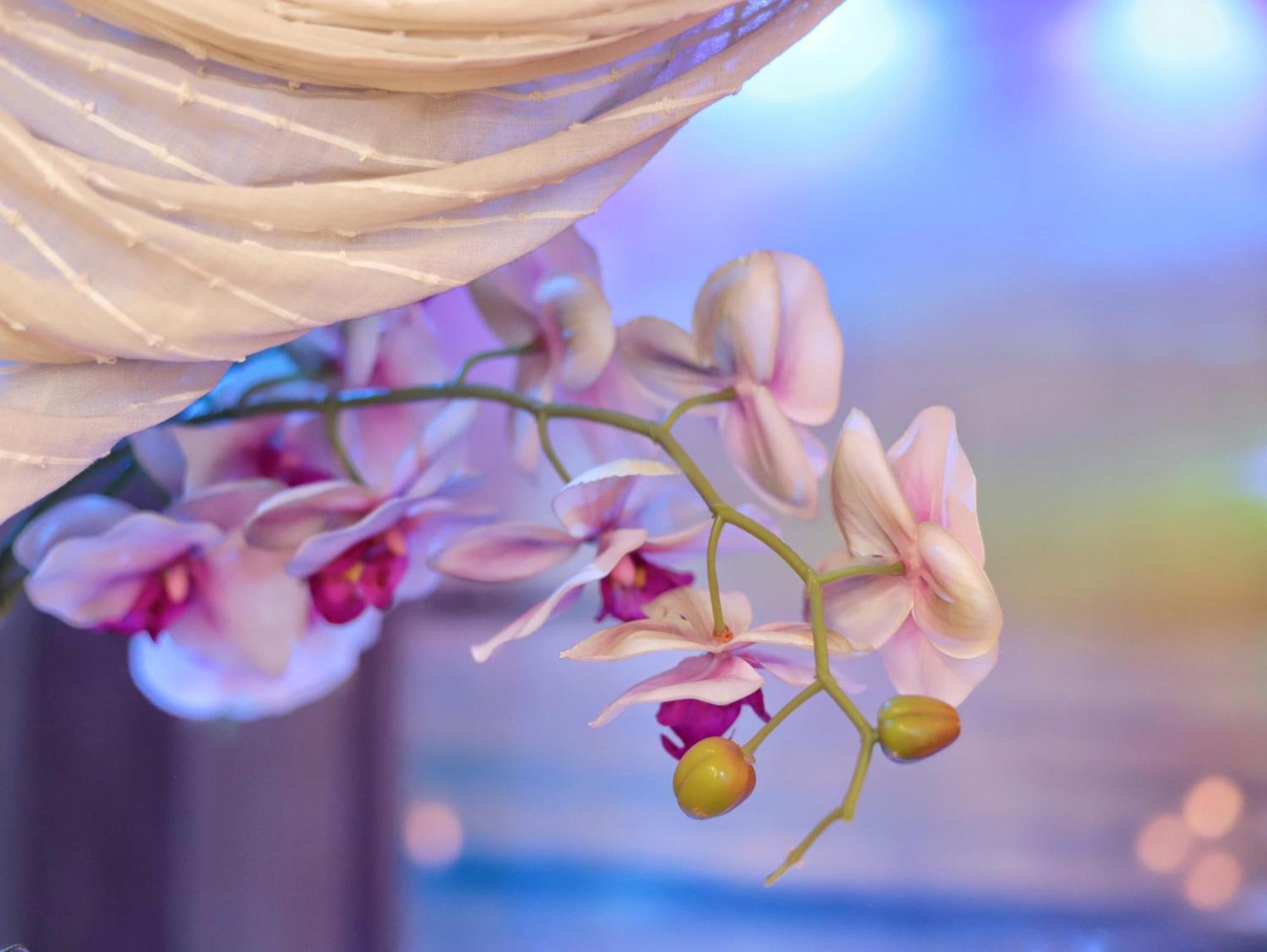 Dream & Relax Villa Fiore บารี ภายนอก รูปภาพ